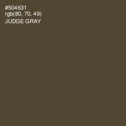#504631 - Judge Gray Color Image